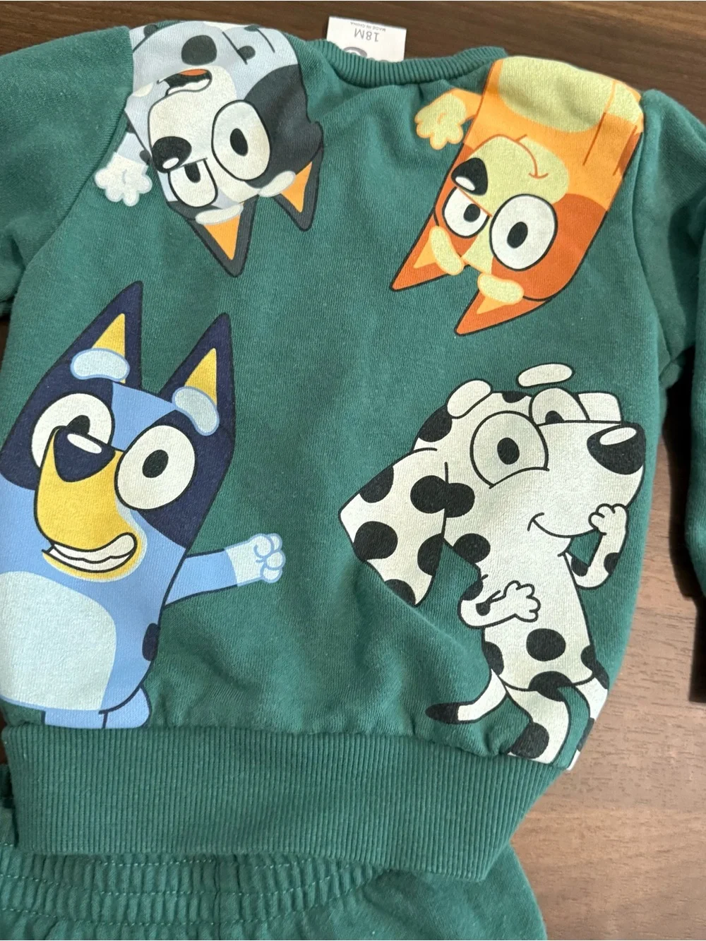 Baby boy bluey sweatshirt and pants set